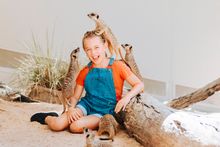 Meerkat Encounter at Rockhampton Zoo