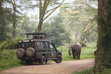 Game drive at Ngorongoro Crater Lodge 