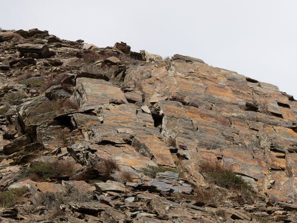 Snow leopard in Upper Dolpo (Nepal) Snow leopard in Upper Dolpo (Nepal)
