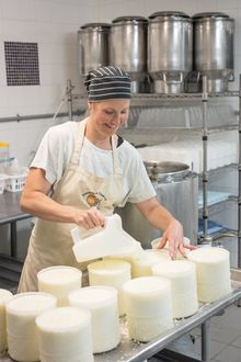 Mathieu Dupuis (Google Voyage)