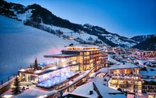 Das Edelweiss in Winter