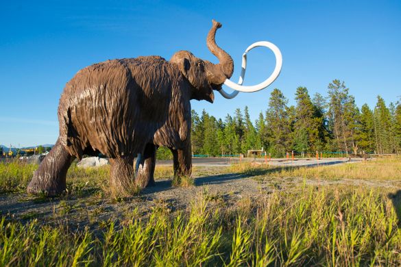 Beringia Interpretive Centre, Yukon Territory