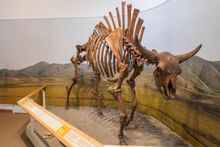 Beringia Interpretive Centre, Yukon Territory, Canada