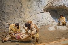 Beringia Interpretive Centre, Yukon Territory, Canada