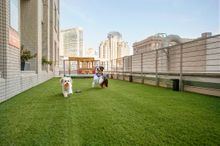 Hotel Nikko San Francisco's Pet Terrace features an off-leash dog run with a custom-made cable car doghouse.