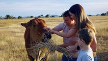 Henderson Park Farm Stay