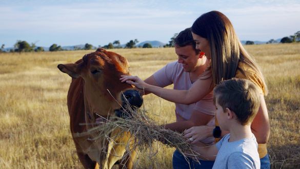 Henderson Park Farm Stay Henderson Park Farm Stay