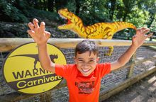 Marwell BRICKOSAURS! Evolution