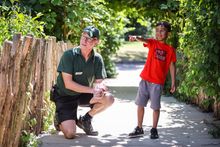 Marwell Volunteers