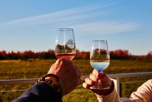 Vignoble de l Orpailleur