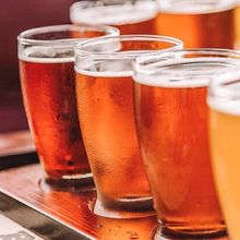 Festif-Tournee_microbrasseries