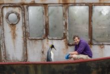 Head keeper Alistair Keen in Penguin Cove