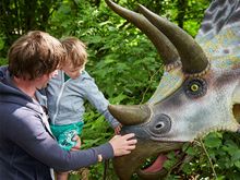 Get up close to dinosaurs in Birdland's Jurassic Journey