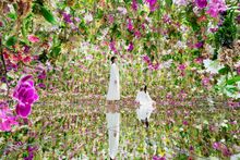 teamLab Planets TOKYO 1