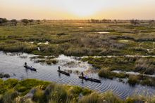 Mokoro safari in the Delta 
