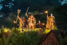 Vikings raid