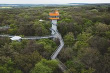 Hainich National Park treetop trail