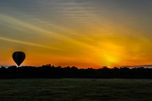 Hot Air Balloon, Masai Mara, Kenya