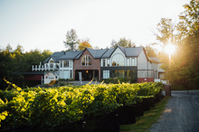 photo_vignoble_du_ruisseau (3).png