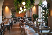 1 Hotel San Francisco's restaurant, Terrene