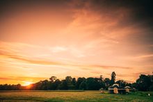 Wild Meadow Glamping at Raynham