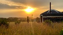 Wild Meadow Glamping