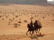 Enjoy exhilarating canters across Wadi Rum, on the 10 day Follow the Bedouin horseback adventure in Jordan 