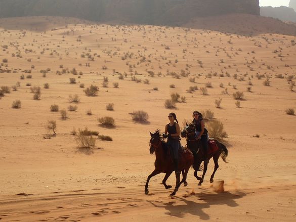 Enjoy exhilarating canters across Wadi Rum, on the 10 day Follow the Bedouin horseback adventure in Jordan 