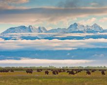 Zapata Cattle & Bison Ranch, Colorado, panorama