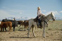 Cowgirl, Zapata cattle & Bison Ranch, Colorado