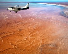 Take in the incredible sights of Lake Eyre and William Creek from above ground.