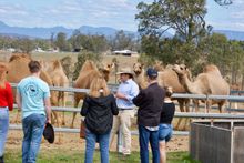 Free tours, tastings and music for dad's on Father's Day