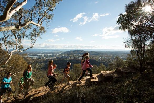 Mount Ainslie Summit Walk.