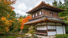 Kyoto Autumn Leaves