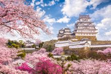 Himeji Castle in spring - Japan