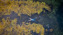 Wild swimming in Argyll and the Isles