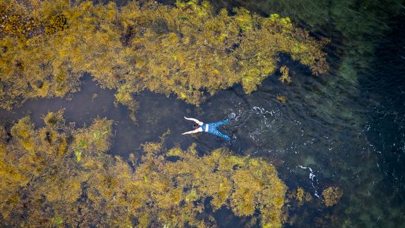 Wild swimming in Argyll and the Isles