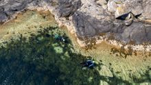 Scotland's Adventure Coast