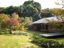 Shointei