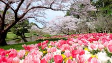 Hamamatsu Flower  Park