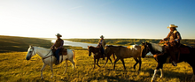 Riding across the rolling hills of Saskatchewan, La Reata Working Ranch