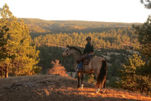 Taking in the spellbinding beauty of autumn from the saddle, Washington state, K-Diamond-K Working Guest Ranch