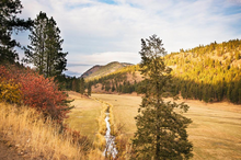 Fall in full colour, Washington state, K-Diamond-K Ranch
