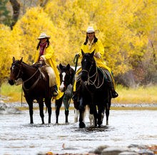 Autumn trails at Montana's Triple Creek Resort Ranch