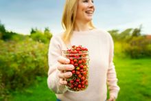 Foraging in Nova Scotia