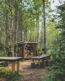 Camp kitchen at From The Wild foraging walks, Edmonton, Alberta