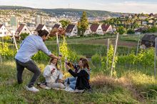Wein in Stuttgart