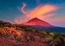 Foto: Tenerife – Oficina de Información turistica