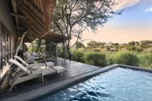 Luxury suite with private plunge pool at Chitwa Chitwa | Sabi Sands, South Africa