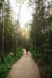 Brokenhead Wetland Interpretive Trail